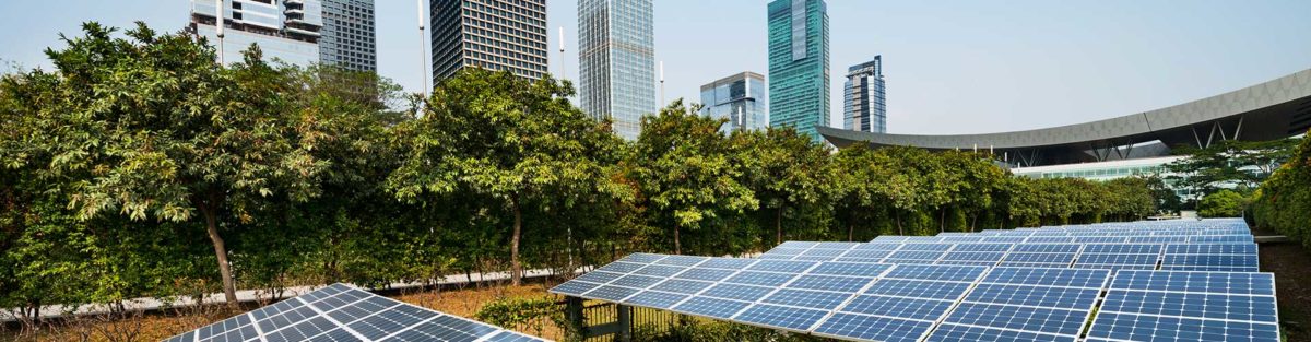 holística engenharia